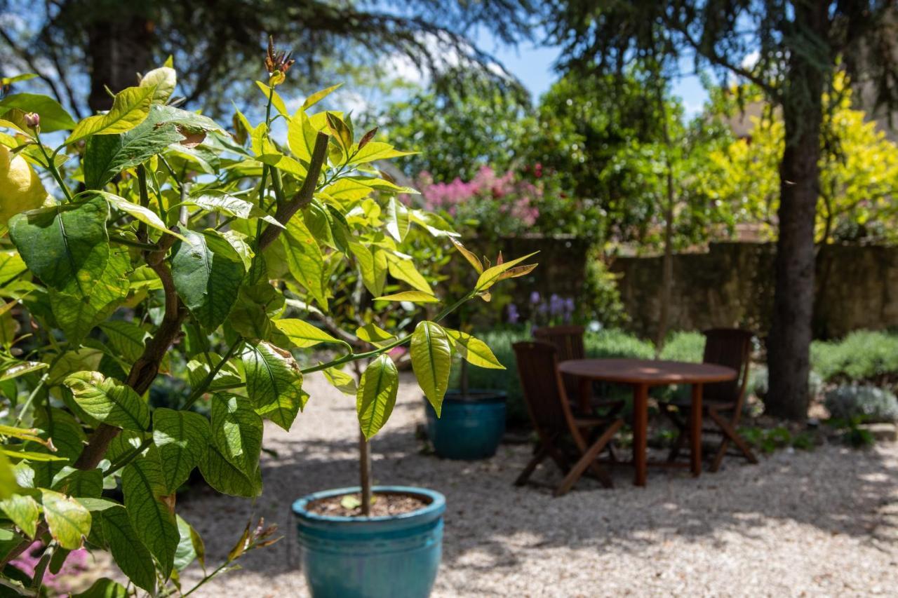 Le Jardin De Mazan Bed and Breakfast Εξωτερικό φωτογραφία